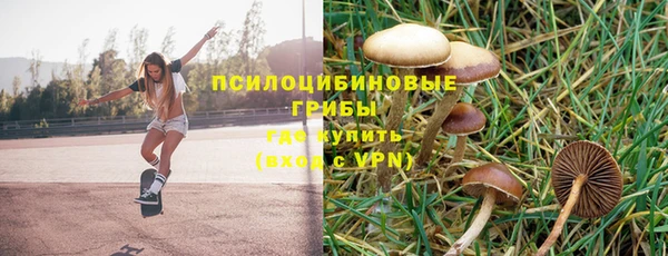 скорость Рославль